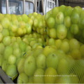 Sac de production mono usine en filet pour tomate et pomme de terre